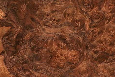 BURL VENEERS